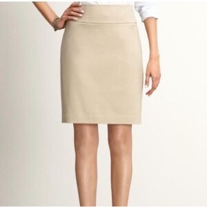 BR Pencil Skirt